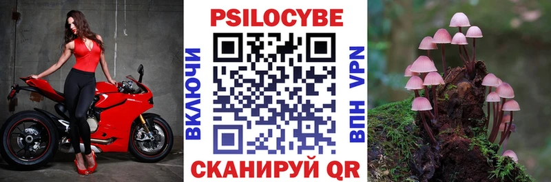 Псилоцибиновые грибы GOLDEN TEACHER KRAKEN ONION Городовиковск